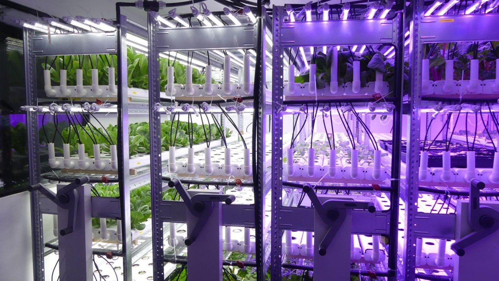 Vertical farming