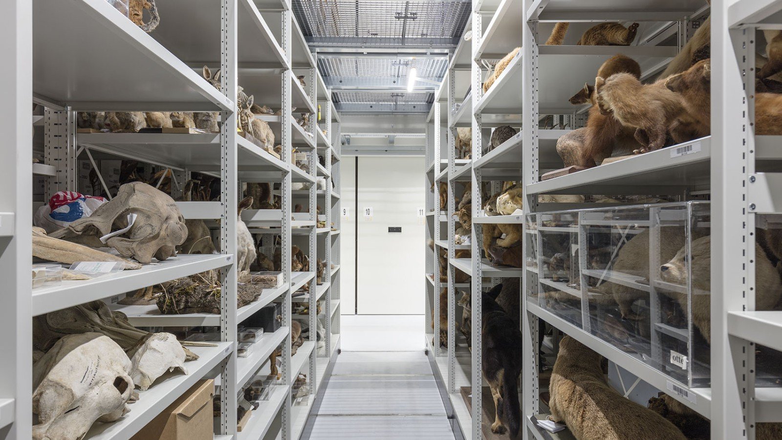 Friesland Collections Center