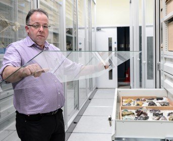 Lapworth Museum of Geology, United Kingdom