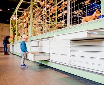 Naturalis Biodiversity Center, Leiden