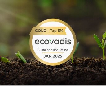 Ecovadis Gold