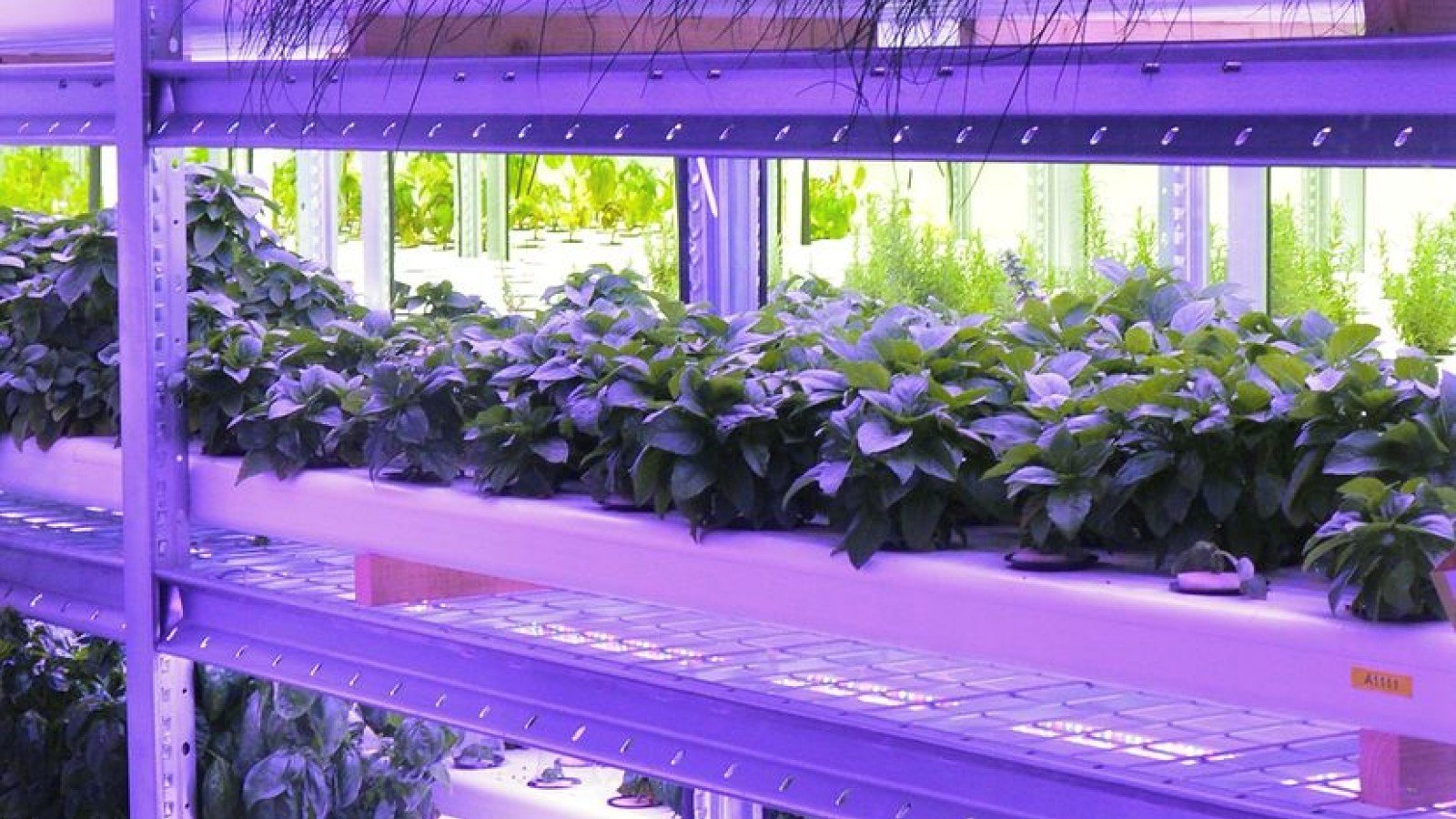 Vertical farming solution