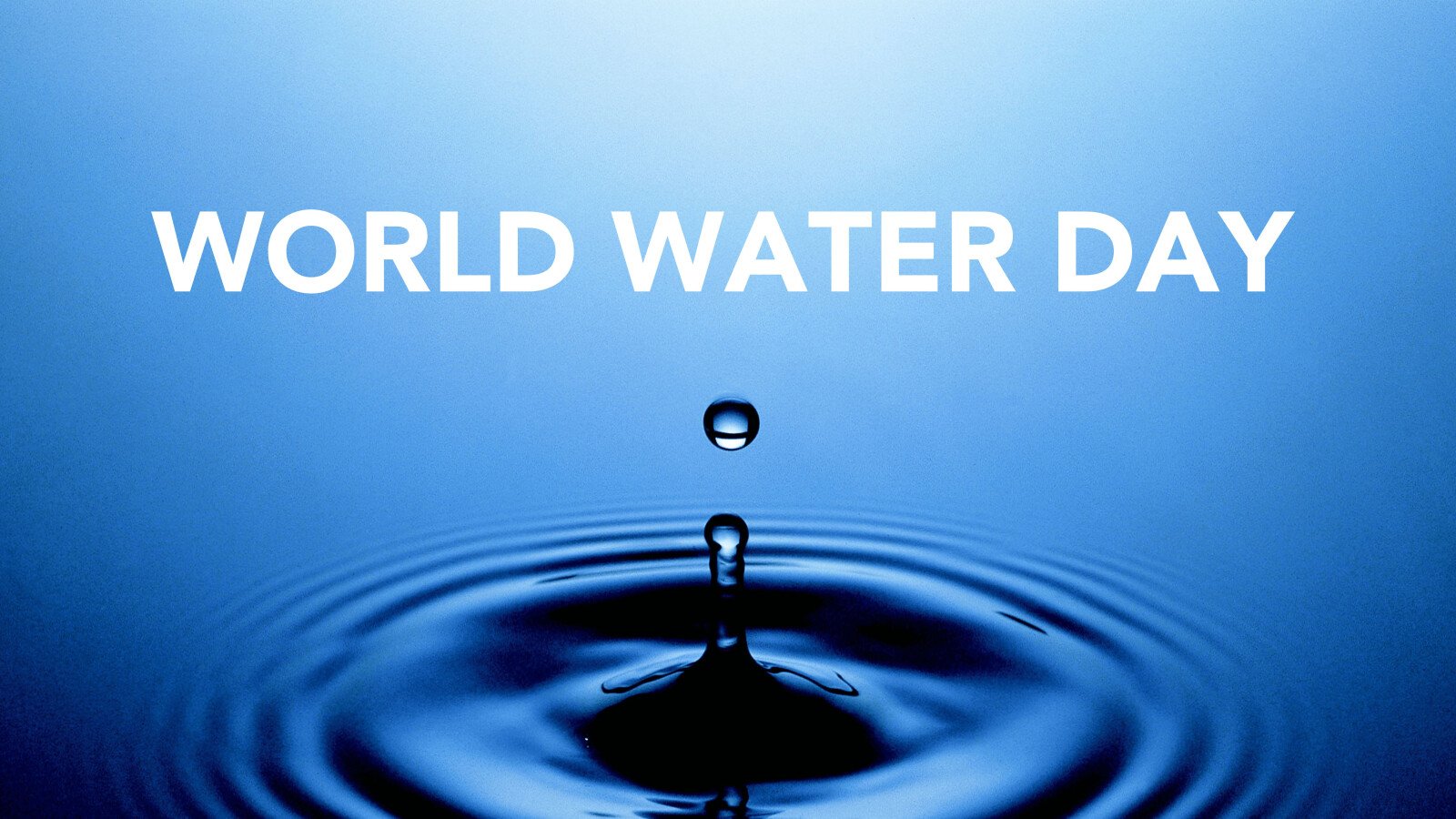 World water day